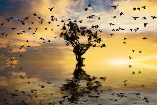 Beautiful sunrise with single tree and water with golden clouds and a flock of birds