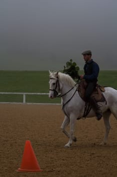 Horsemanship