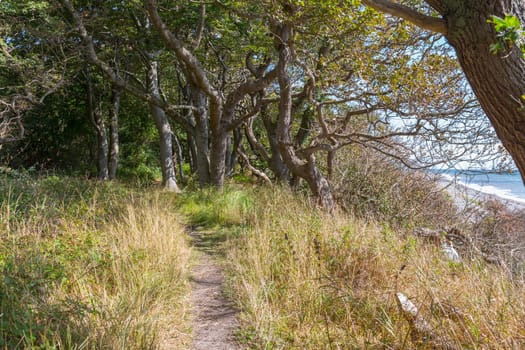 Hiking trail along the Baltic Sea at the southern tip of Langeland