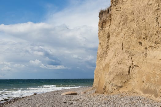 A piece of cliffs and forest on the coast of South Langeland,Denmark