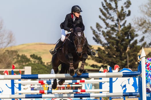Horse Jumping Nationals Championship  scenes and close-up action of riders men woman at Shongweni Hillcrest outside Durban South Africa  10th Aug 2014
