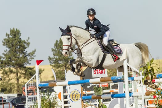 Horse Jumping Nationals Championship  scenes and close-up action of riders men woman at Shongweni Hillcrest outside Durban South Africa  10th Aug 2014