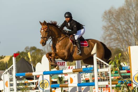 Horse Jumping Nationals Championship  scenes and close-up action of riders men woman at Shongweni Hillcrest outside Durban South Africa  10th Aug 2014