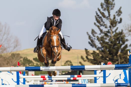 Horse Jumping Nationals Championship  scenes and close-up action of riders men woman at Shongweni Hillcrest outside Durban South Africa  10th Aug 2014
