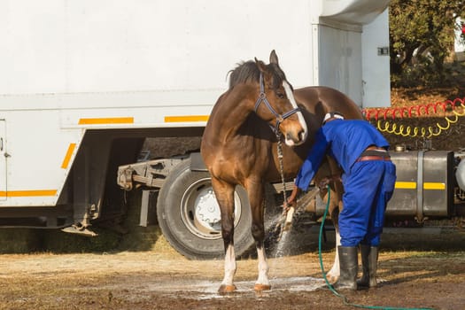 Horse Jumping Nationals Championship  scenes and close-up action of riders men woman at Shongweni Hillcrest outside Durban South Africa  10th Aug 2014