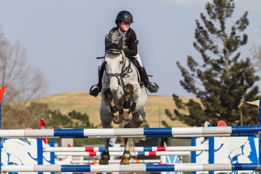 Horse Jumping Nationals Championship  scenes and close-up action of riders men woman at Shongweni Hillcrest outside Durban South Africa  10th Aug 2014