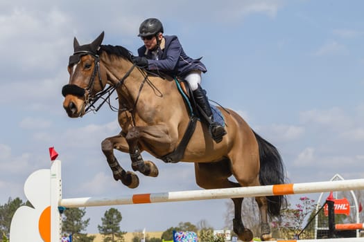 Horse Jumping Nationals Championship  scenes and close-up action of riders men woman at Shongweni Hillcrest outside Durban South Africa  10th Aug 2014