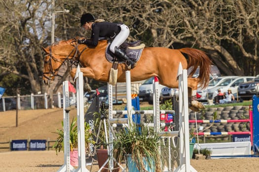 Horse Jumping Nationals Championship  scenes and close-up action of riders men woman at Shongweni Hillcrest outside Durban South Africa  10th Aug 2014