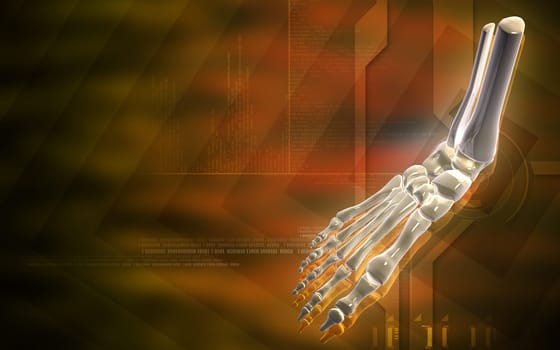 Digital illustration of hand bone in colour background