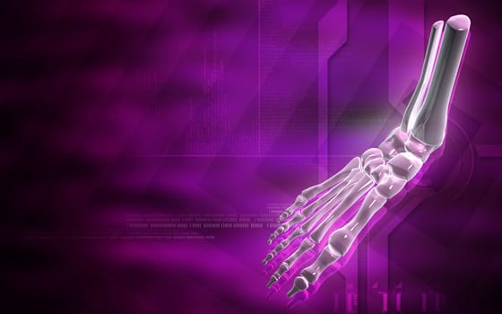 Digital illustration of hand bone in colour background