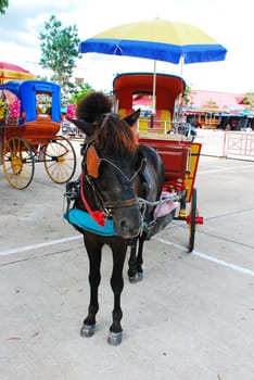 horse carriage and  temple Phrathat Lampang Luang in Lampang, Thailand