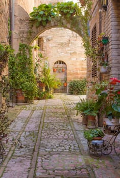 Romantic street with stone arch decorated with plants (Spello, Umbria, Italy.)