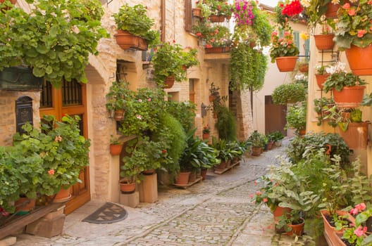Street decorated with plants and flowers in the historic Italian city. (Spello, Umbria, Italy.) Horizontally.