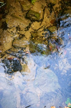 The plan view on the surface of a flowing stream in which autumn leaves accumulate.