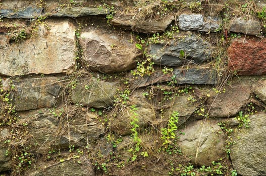 Feldsteinmauer / Fieldstone Wall