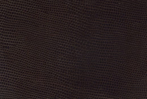 brown leather texture