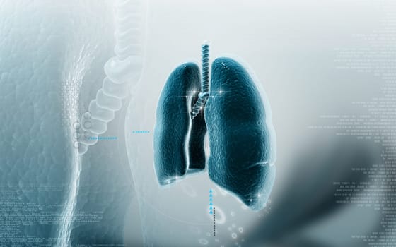 Digital illustration of human lungs in colour background