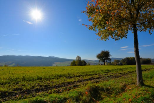 Autumn Landscape