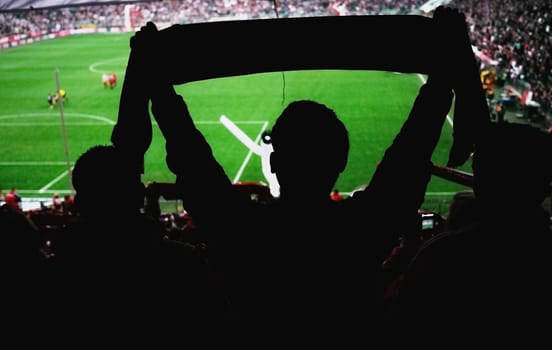 Football fans in the stadium