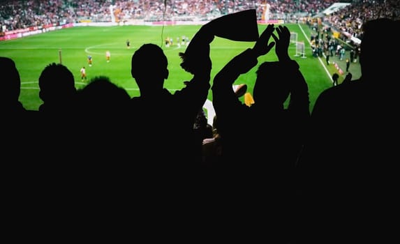 Football fans in the stadium