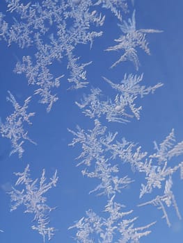 Ice flowers on windows
