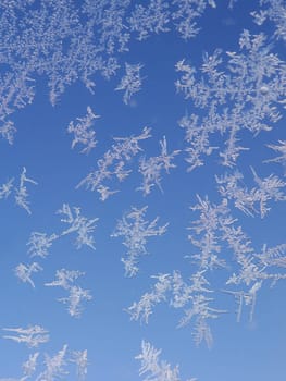 Ice flowers on windows