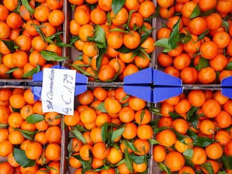 Orange Market