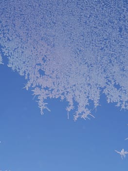 Ice flowers on windows