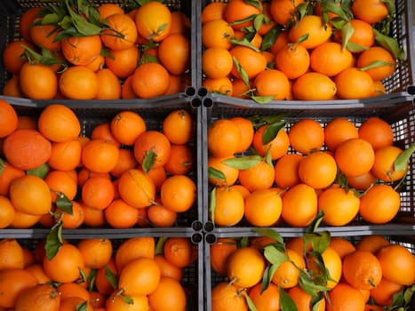Orange Market