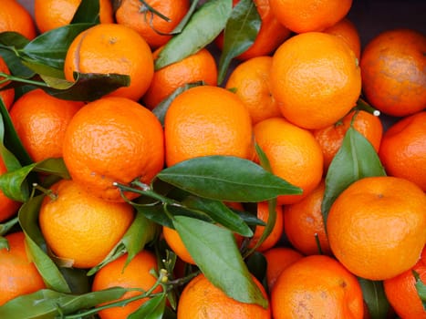 Orange Market