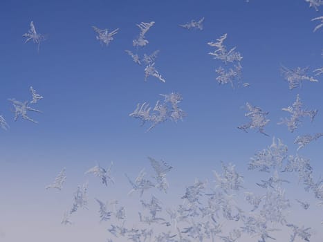 Ice flowers on windows