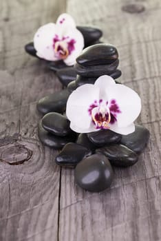White Moth Orchids and black stones on weathered deck close-up