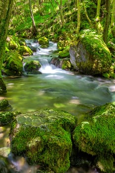 The Bigar spring that leads to Bigar Falls in spring, Romania.