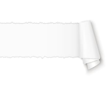 ripped open white paper with paper curl and free space