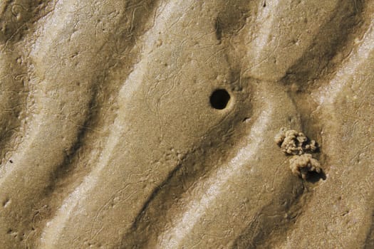 North Sea,the Wadden Sea,low tide