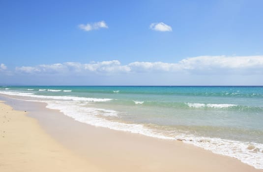 Sandy beach in Fuerteventura