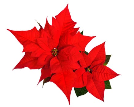 Christmas star studio recording on a pure white background