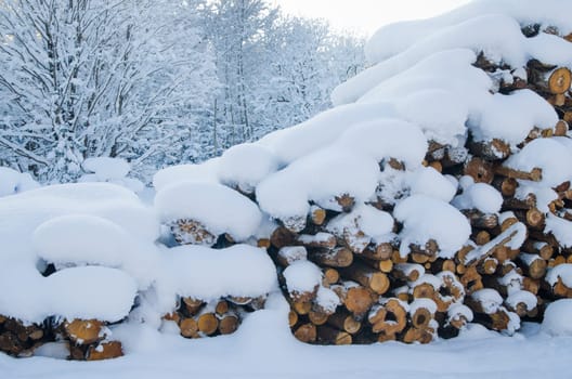 The cut logs in a winter wood under snowdrifts