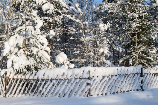 The wooden fence filled up by a snow in a countryside.