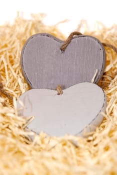 two blank grey wooden love hearts  in a love nest made of straw with copy space