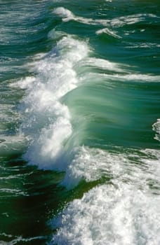 Wave on Pacific Ocean in California