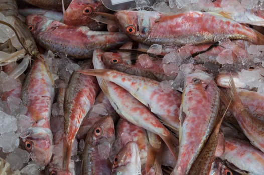 mullets for sale at the local market of the fish