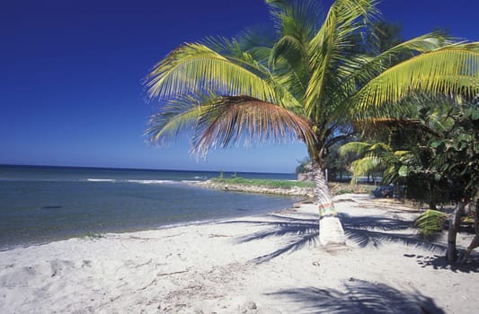 the Beach of Tela near San Pedro Sula on the caribian sea in Honduras in Central America