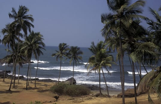 the beach of Anjuna in the Province Goa in India.
