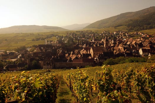 the olt town of the village of Riquewihr in the province of Alsace in France in Europe