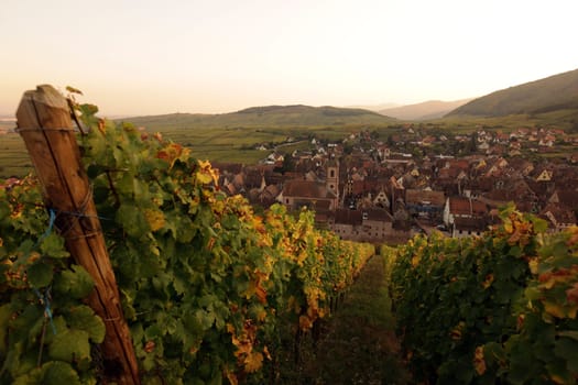 the olt town of the village of Riquewihr in the province of Alsace in France in Europe