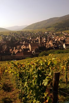 the olt town of the village of Riquewihr in the province of Alsace in France in Europe