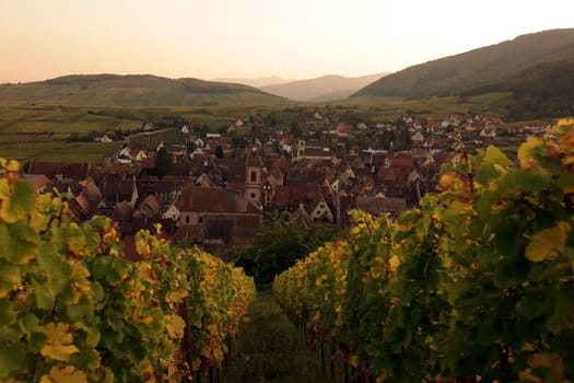 the olt town of the village of Riquewihr in the province of Alsace in France in Europe