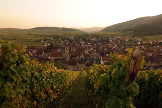 the olt town of the village of Riquewihr in the province of Alsace in France in Europe