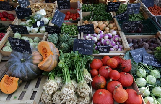 the Market Hall in the old city of Colmar in the province of Alsace in France in Europe